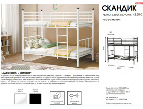 Кровать двухъярусная Скандик 42.20-01 в Карталах - kartaly.mebel74.com | фото 2