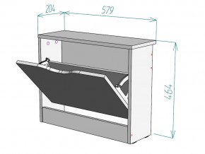 Обувница W100 в Карталах - kartaly.mebel74.com | фото 3