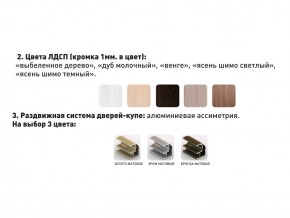 Шкаф-купе Акцент-Сим Д 1000-600 шимо светлый в Карталах - kartaly.mebel74.com | фото 3