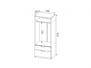 Шкаф с 2-мя ящиками ЛДСП Фаворит в Карталах - kartaly.mebel74.com | фото 2