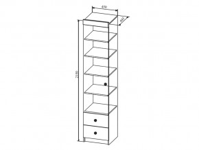 Шкаф Сканди ШД450.1 в Карталах - kartaly.mebel74.com | фото 2